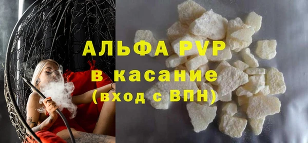 мет Алексин