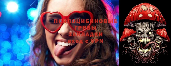гашик Абаза