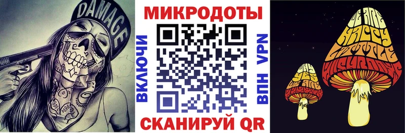 блэк спрут зеркало  Череповец  Псилоцибиновые грибы Cubensis 